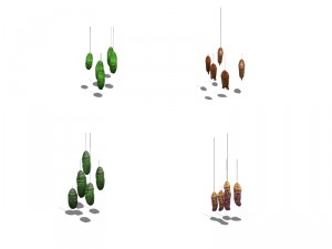 insects - pupa 3D Модель