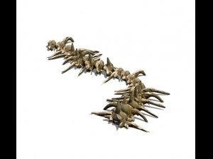 रेगिस्तान - अस्थि जीवाश्म 02 3D मॉडल