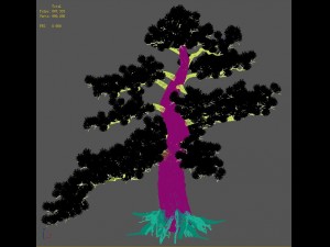 big tree - white chishan - pine 02 3D Model