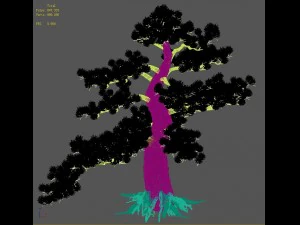 big tree - white chishan - pine 02 3D Model