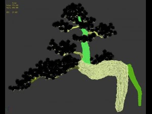 big tree - white chishan - pine 03 3D Model