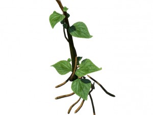 big trees - big vines 02 3D Model