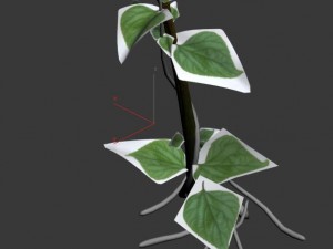 big trees - big vines 02 3D Model