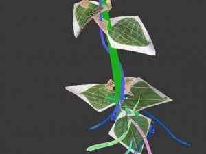 big trees - big vines 02 3D Model