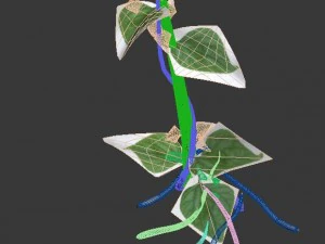 big trees - big vines 02 3D Model