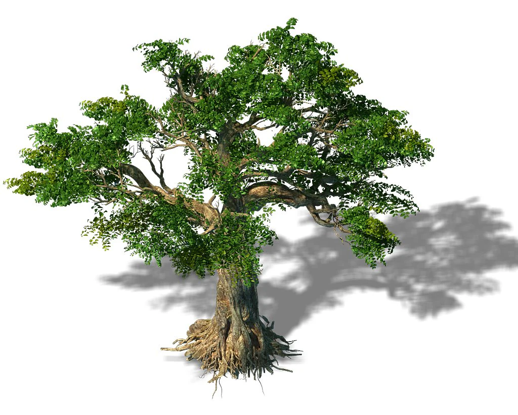 trees - huanglongshan trees 3D Model .c4d .max .obj .3ds .fbx .stl .blend
