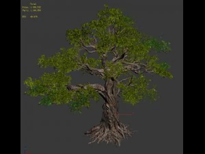 trees - huanglongshan trees 3D Model