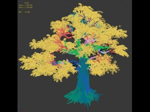 trees - huanglongshan trees 3D Model