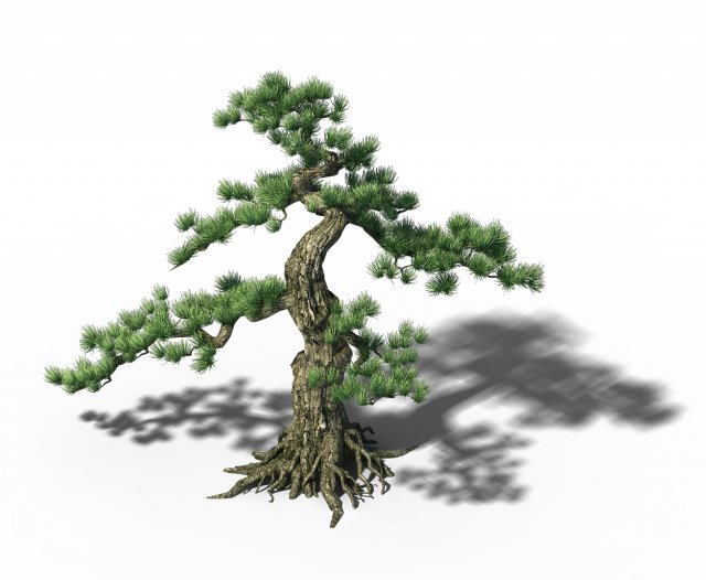 trees - huanglongshan pine 01 Modèle 3D .c4d .max .obj .3ds .fbx .stl .blend 