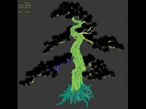 trees - huanglongshan pine 01 Modèle 3D