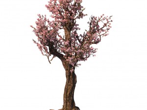 tree - wonderful fantasy - peach tree 01 Modello 3D