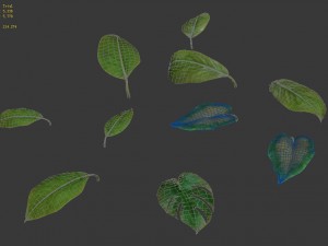 trees - leaves 03 Modèle 3D