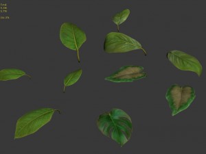 trees - leaves 03 Modèle 3D