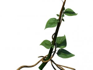 pohon besar - tanaman merambat 02 Model 3D