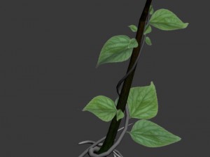big trees - vines 02 3D Модель