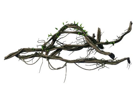 big trees - vines 03 3D Model .c4d .max .obj .3ds .fbx .stl .blend