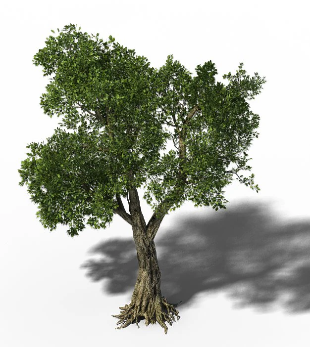 windland prairie - big tree 01 3D Model .c4d .max .obj .3ds .fbx .stl .blend 