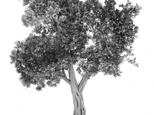 windland prairie - big tree 01 3D Model