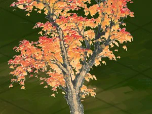 windland prairie - big tree 01 3D Model