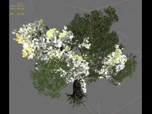 windland prairie - big tree 01 3D Model