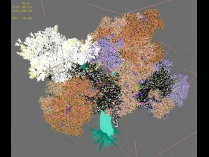 windland prairie - big tree 01 3D Model