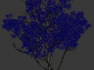 shrub - huanglongshan small tree 01 3D Model