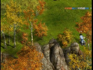 shrub - huanglongshan small tree 02 3D 模型