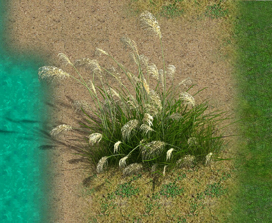 lakeside plants - reed 01 3D Model .c4d .max .obj .3ds .fbx .stl .blend 