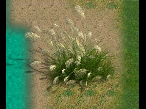 plantas junto al lago - ca&ntilde;a 01 Modelo 3D