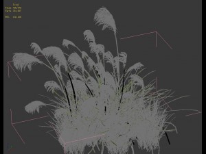 lakeside plants - reed 01 3D Модель