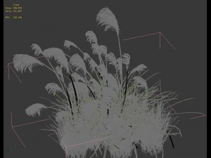 lakeside plants - reed 01 3D Model