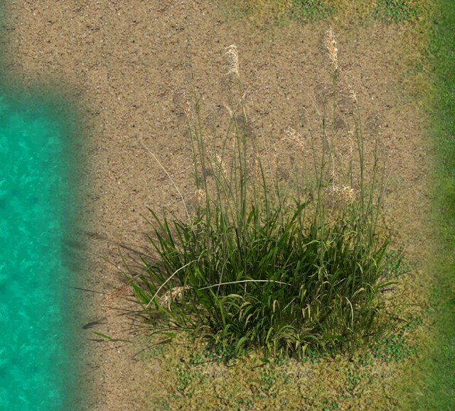lakeside plants - reed 02 Model 3D .c4d .max .obj .3ds .fbx .stl .blend 