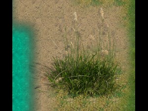 lakeside plants - reed 02 3D Модель