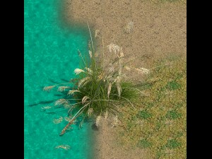 lakeside plants - reed 03 Modèle 3D