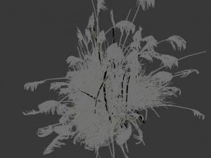 lakeside plants - reed 03 3D Model