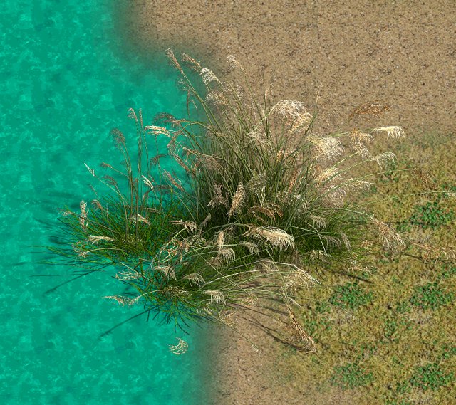 lakeside plants - reed 04 3D 모델 .c4d .max .obj .3ds .fbx .stl .blend 