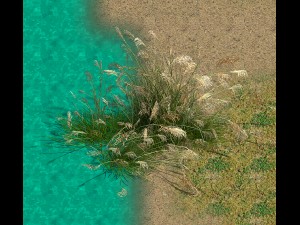 lakeside plants - reed 04 3D Model