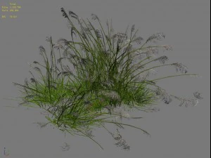 lakeside plants - reed 04 3D Model