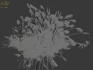 lakeside plants - reed 04 3D 모델
