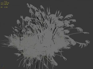 lakeside plants - reed 04 3D Model
