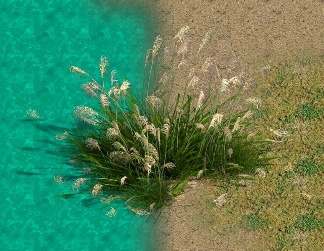 lakeside plants - reed 05 Modelo 3D .c4d .max .obj .3ds .fbx .stl .blend 
