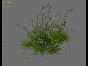 lakeside plants - reed 05 3D Model