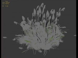 lakeside plants - reed 05 Modelo 3D