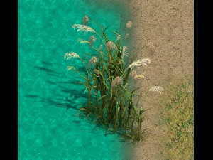 lakeside plants - reed 06 Modelo 3D