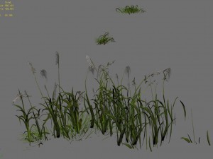 lakeside plants - reed 06 3D Model