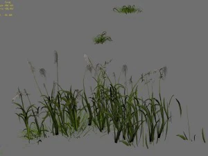 lakeside plants - reed 06 3D Model