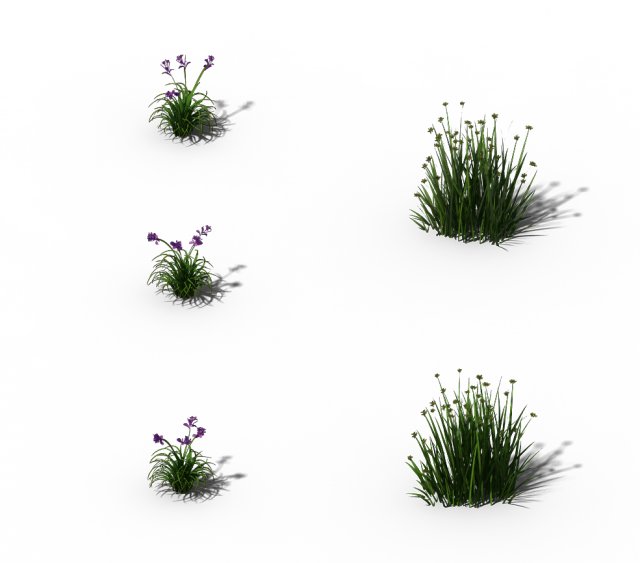flowers - general weeds 01 3D-Modell .c4d .max .obj .3ds .fbx .stl .blend 