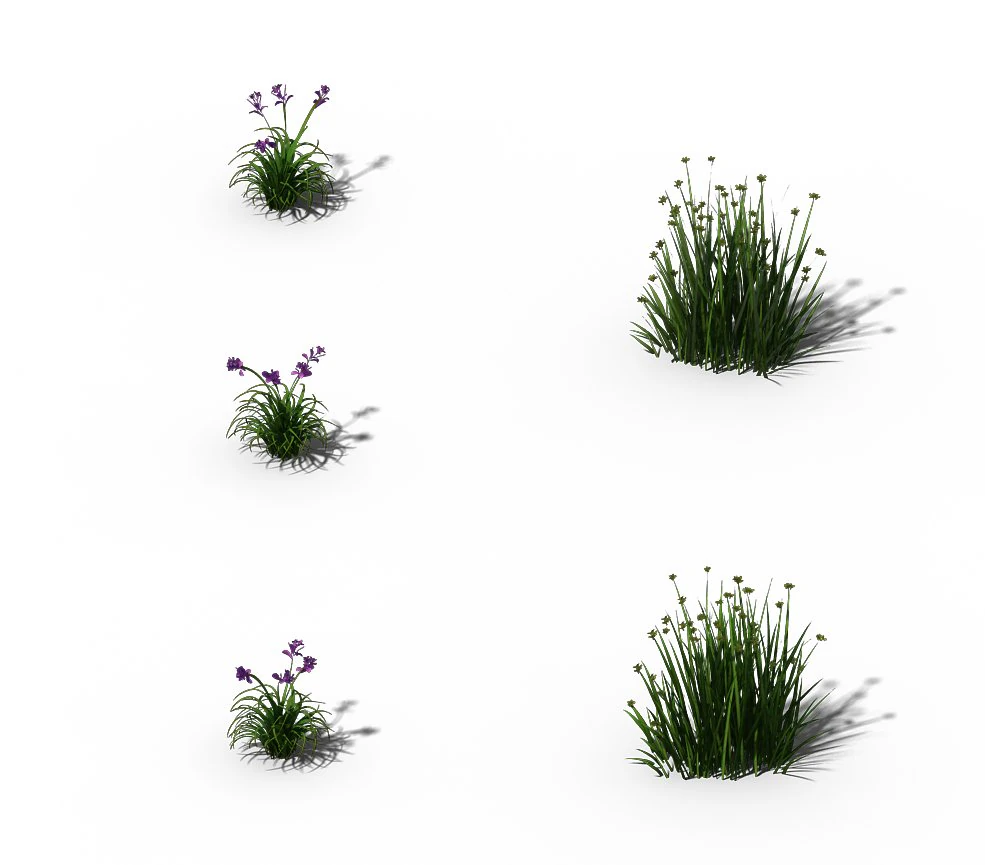 flowers - general weeds 01 3D Model .c4d .max .obj .3ds .fbx .stl .blend 