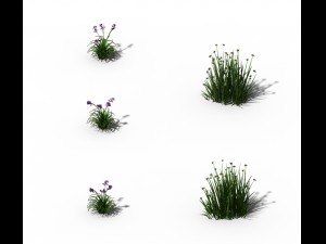 flowers - general weeds 01 3D मॉडल