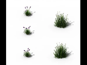 flores - malezas generales 01 Modelo 3D